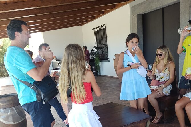 Private Transfer from Naples to Praiano - Who should book this private transfer