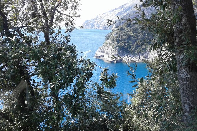 Private Transfer From Naples to Ravello/Sorrento stop at Pompeii - Pompeii en route: why this Naples-to-Coast transfer actually makes sense