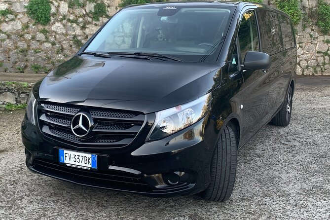 Private Transfer From Naples to Ravello/Sorrento stop at Pompeii - Who this private Pompeii stop is best for