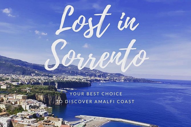Private transfer from Naples to Sorrento with stop in Pompeii - Who This Private Transfer Is Best For