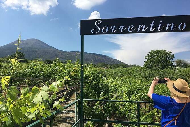 Private Wine Tour,lunch,8 wines, dedicated sommelier and trasport - Tenuta Sorrentino Vesuvio Vineyard Walk and Vine-Growing Lessons