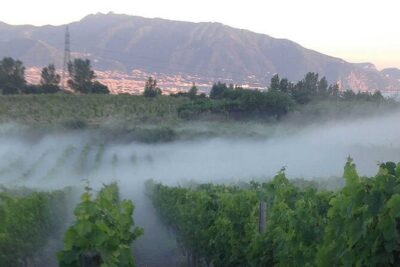 Private Wine Tour,lunch,8 wines, dedicated sommelier and trasport - The View Platform: Vesuvius, Naples Bay, and Pompeii