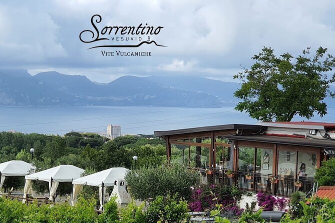 Private Wine Tour,lunch,8 wines, dedicated sommelier and trasport - Timing, Booking Pattern, and How to Choose the Right Day
