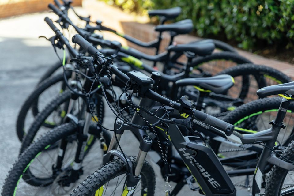 Scenic E-Bike Ride with Vineyard Wine & Meal - A Naples Day That Starts With Sea Views, Not Schedules
