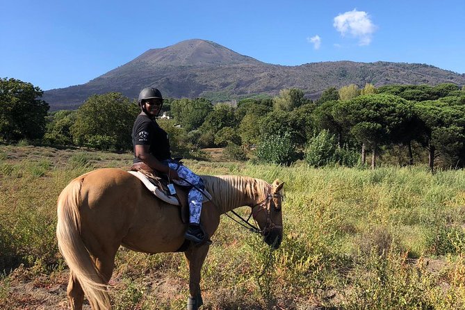 Scenic Horseback Ride, Wine Tasting & Lunch on Mt. Vesuvius - Key highlights at a glance