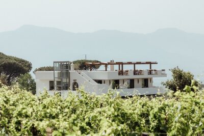 Scenic Wine Tasting & Lunch on the Slopes of Vesuvius from Naples - Wine tasting with Campania classics: Falanghina, Lacryma Christi, Aglianico