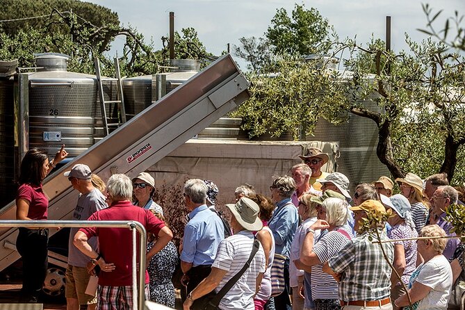 Scenic Wine Tasting & Lunch on the Slopes of Vesuvius from Naples - Price and value: what $108.84 buys you in Naples terms