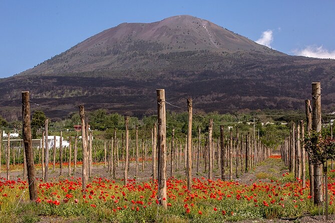 Scenic Wine Tasting & Lunch on the Slopes of Vesuvius from Naples - Who should book this Mt. Vesuvius wine tasting lunch?