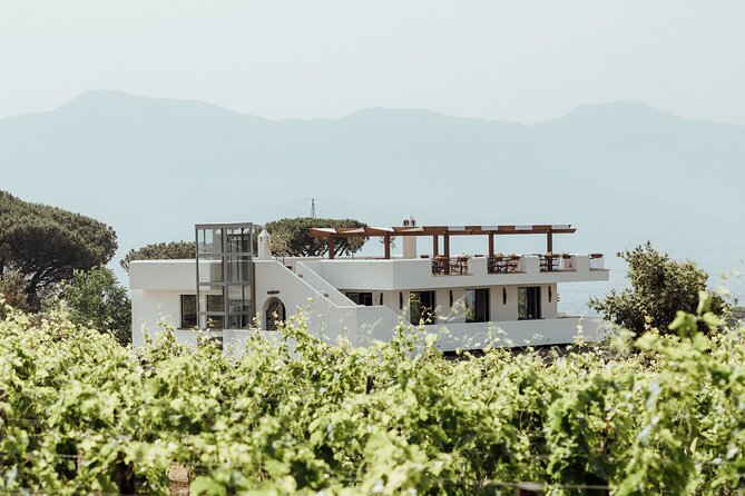 Scenic Wine Tasting & Lunch on the Slopes of Vesuvius from Naples - Wine tasting with Campania classics: Falanghina, Lacryma Christi, Aglianico