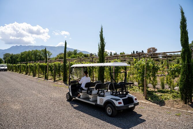 Seafood Lunch & Wine Tasting with Scenic Golf Cart Tour - What to know before you go (quick, useful highlights)