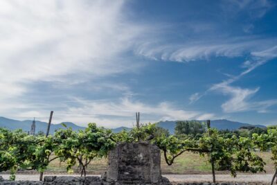 Seafood Lunch & Wine Tasting with Scenic Golf Cart Tour - Getting to Via Antonio Segni and riding the golf cart