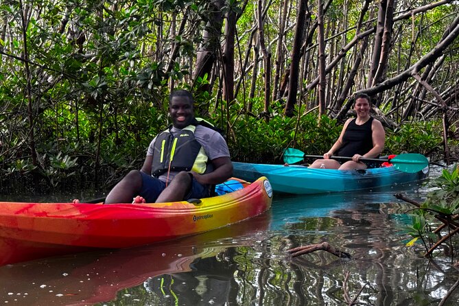Self Guided EcoTour: Clear/Standard Kayaks -Bonita Springs - Key Highlights You’ll Care About