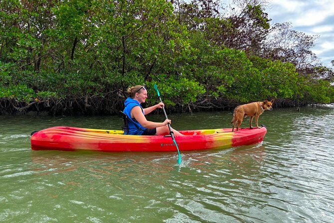 Self Guided EcoTour: Clear/Standard Kayaks -Bonita Springs - What Could Go Wrong (and How to Avoid It)