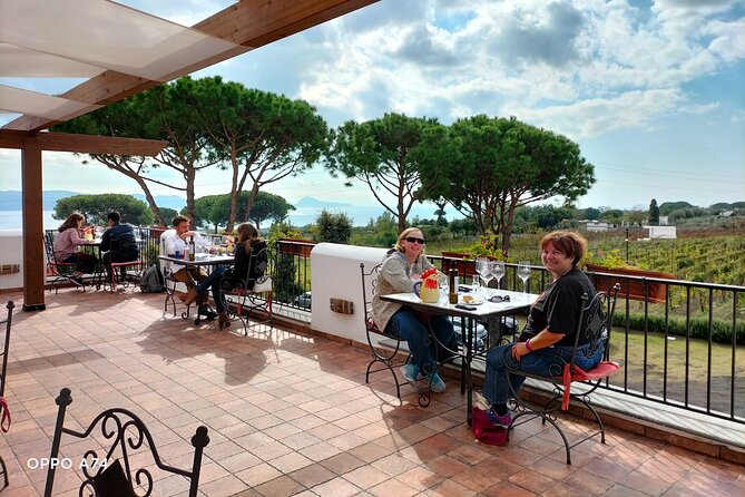 Shore excursion Naples city tour, Pompeii & Winery Cantina del Vesuvio - Value Check: When This Tour Makes Sense (and When It Doesn’t)