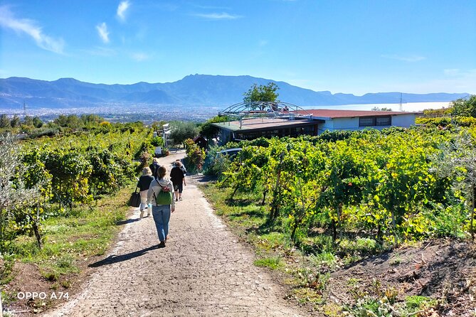 Shore excursion Naples city tour, Pompeii & Winery Cantina del Vesuvio - Who This Is Best For