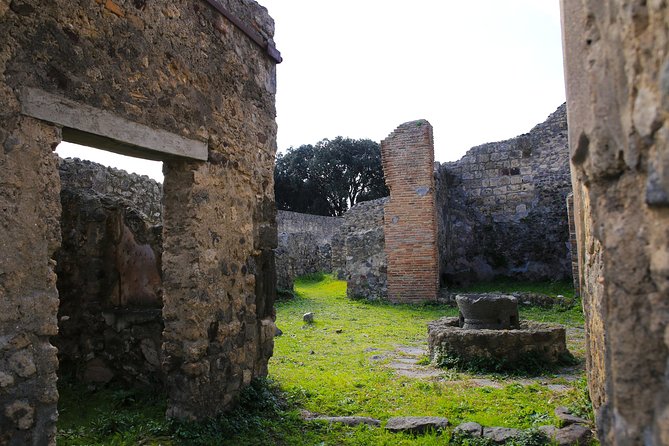 Shore Excursion Tour for Kids from Naples to Pompeii and Amalfi Coast - The transfer from Pompeii to the coast: time to reset