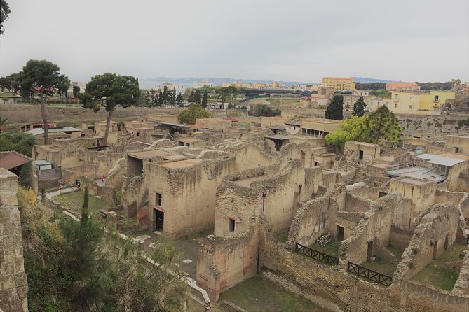 Skip the Line Ancient Herculaneum Walking Tour with Top Rated Guide - Parco Acheologico di Ercolano: your first guided hour(s)