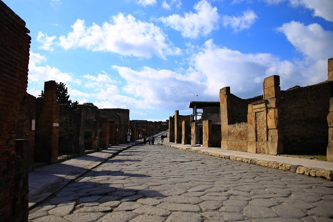 Skip-the-Line Exclusive Private Ancient Pompeii & Vesuvius Volcano Full Day Tour - Naples Pickup, Private Transport, and a Route That Stays on Time