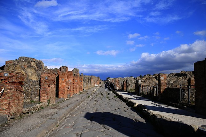 Skip-the-line Exclusive Private Full-Day Complete Ancient Pompeii Guided Tour - Casa di Ottavio Quartione on via dell’Abbondanza