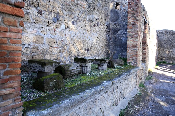 Skip-the-line Exclusive Private Full-Day Complete Ancient Pompeii Guided Tour - Skip-the-line access: what it means for your day