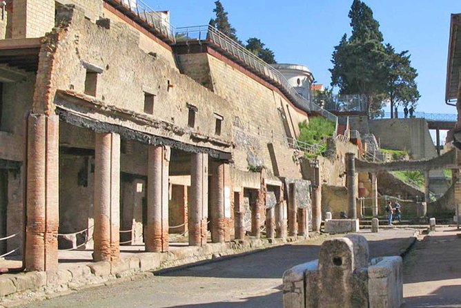 Skip the Line Herculaneum Ruins Ticket - Price and logistics: is $25 good value for Herculaneum?