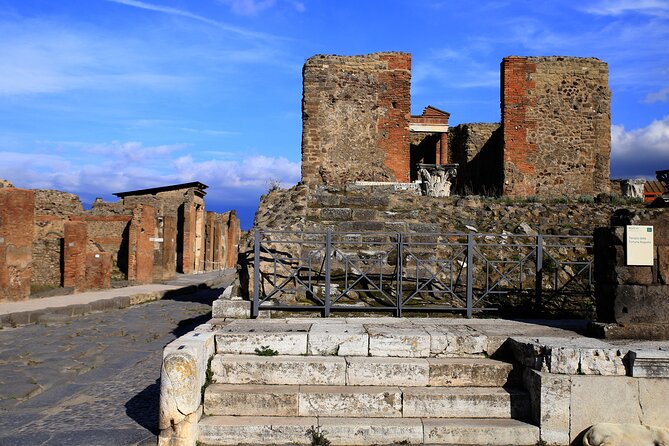 Skip the Line Pompeii Tour For Kids and Families w Special Guide - Meeting Point and Timing: How to Keep the Morning (or Afternoon) Smooth