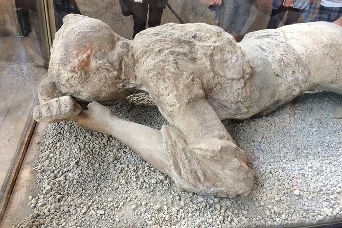 Skip the Line Private Pompeii Guided Tour - Price and value: the $82.65 question you should actually ask