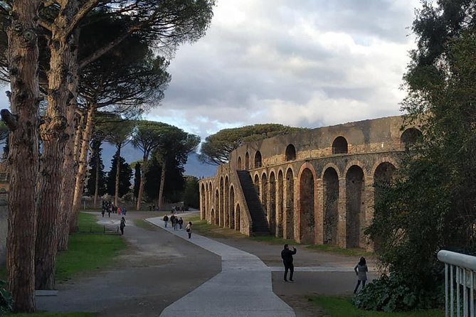 Skip the Line Private Pompeii Guided Tour - Pompeii Archaeological Park: the highlights sweep that sets the tone
