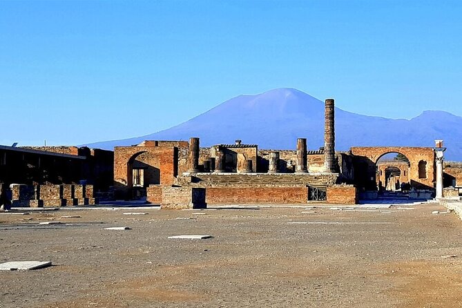 Skip-The-Line Tickets VIP Small Group Tour To Pompei and Vesuvius - Vesuvius National Park with a volcanologist: getting the geology story in plain language