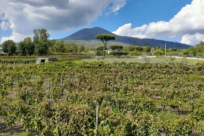 Skip-The-Line Tickets VIP Small Group Tour To Pompei and Vesuvius - Price and value: what $325.11 buys you on this VIP day