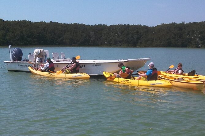 Small-Group Everglades Boating Kayaking and Walking Eco Tour - Kayaking the Ten Thousand Islands waters without the rush