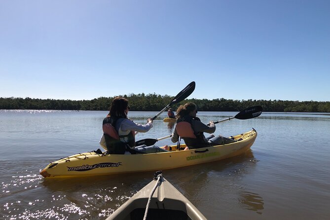 Small-Group Everglades Boating Kayaking and Walking Eco Tour - Who this tour fits best (and who might want to choose another option)
