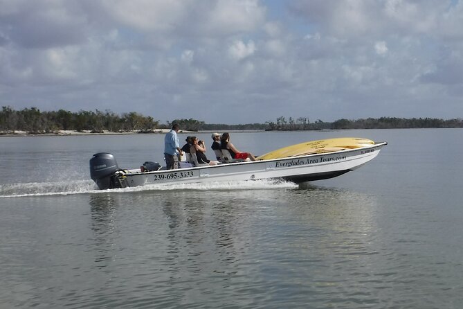 Small-Group Everglades Boating Kayaking and Walking Eco Tour - What to expect on the day: simple timing and smooth flow