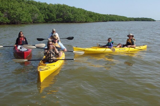 Small-Group Everglades Boating Kayaking and Walking Eco Tour - Finishing on a barrier island walk: shoes, birds, and quiet edges
