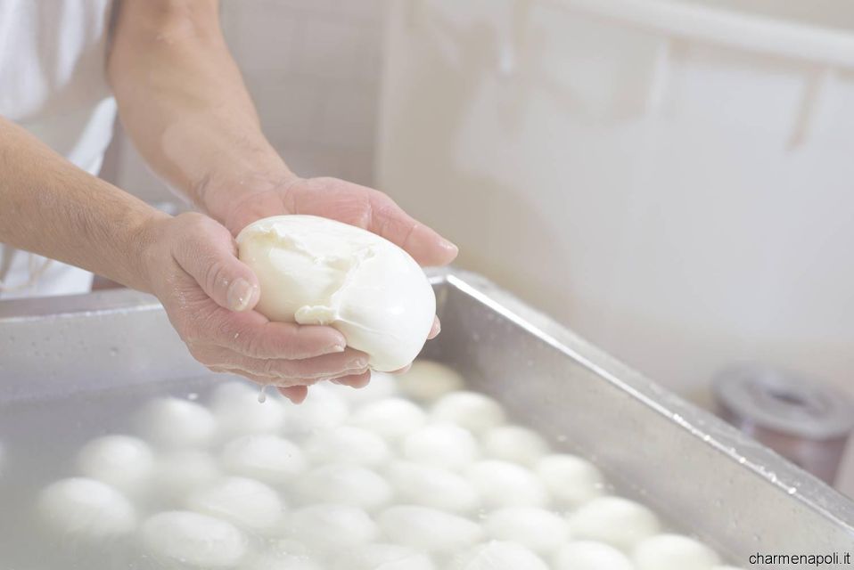 Street food tour: the Neapolitan culinary art - Mozzarella, San Marzano tomato, and olives: the base layer of everything