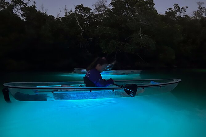 Sunset and Glow Clear Kayak Tour in North Naples - Key things I’d circle on your map