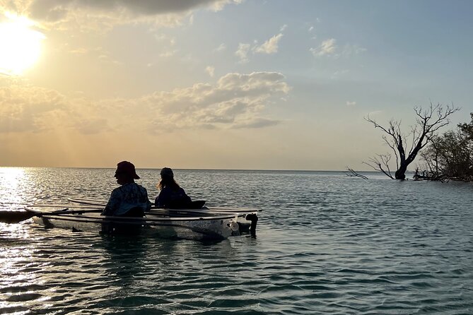 Sunset and Glow Clear Kayak Tour in North Naples - Why This Sunset-and-Glow Kayak Works So Well in Naples