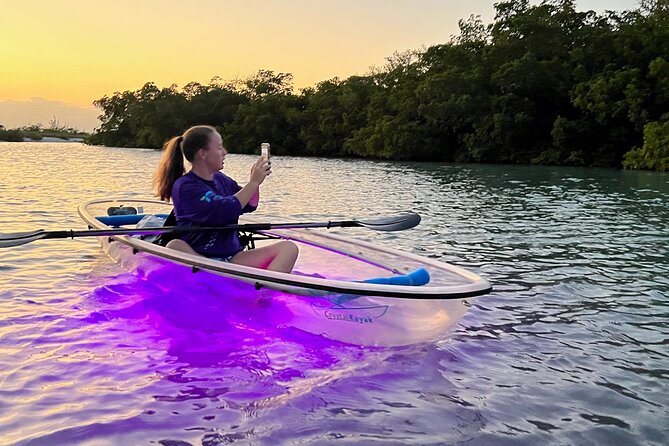 Sunset and Glow Clear Kayak Tour in North Naples - Wildlife Odds: Dolphins, Manatees, and Those Calm Moments