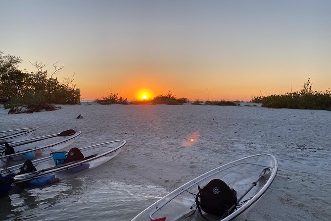 Sunset and Glow Clear Kayak Tour in North Naples - Cocohatchee River Marina Check-In: Getting Started Without Stress