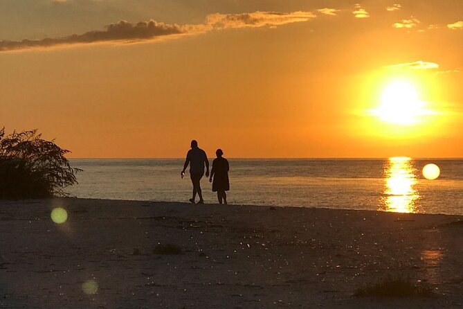 Sunset Eco Tour of Marco Island & 10,000 Islands - Golden Hour on the Marco–Goodland Waterline