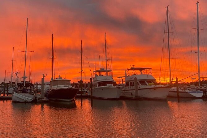 Sunset Eco Tour of Marco Island & 10,000 Islands - Stop 2: Ten Thousand Islands National Wildlife Refuge for Wildlife Time