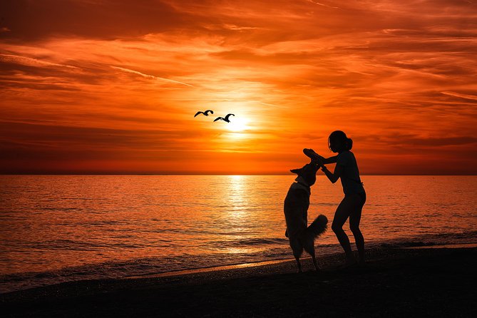 Sunset Private Boat Trip in Naples FL with Secluded Island Stop with your Dog - The private group size: value and what $375 actually buys you