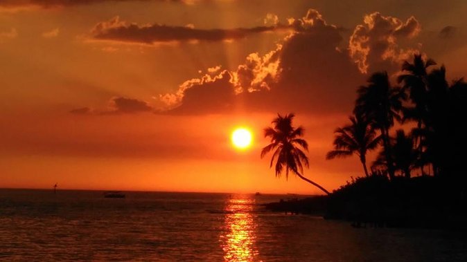 Sunset Private Boat Trip in Naples FL with Secluded Island Stop with your Dog - Meeting point, timing, and the bathroom reality (plan it once)