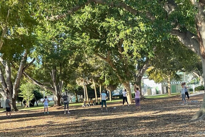 Taichi & Qigong Class in Naples, Florida - Cambier Park at 9:15: The Naples Setting You’ll Actually Use
