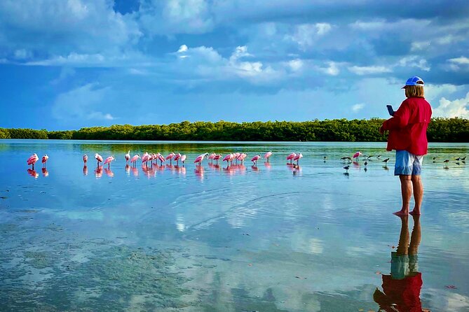 Ten Thousand Islands Eco/Dolphin Tour - Why the Ten Thousand Islands tour feels different in real life