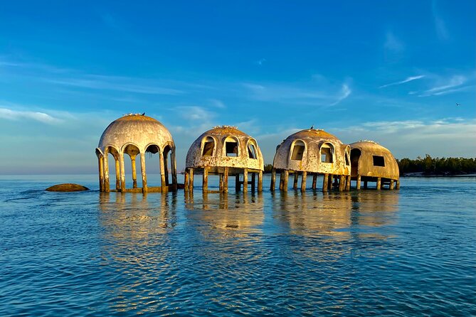Ten Thousand Islands Eco/Dolphin Tour - Who this tour is best for (and who might want to rethink)