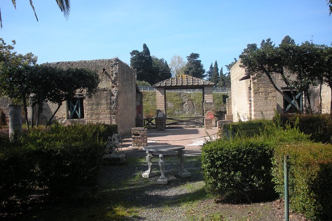 Tour in the ruins of Herculaneum with an archaeologist - Official Guide Skills: More Than Facts, Less Than Lectures
