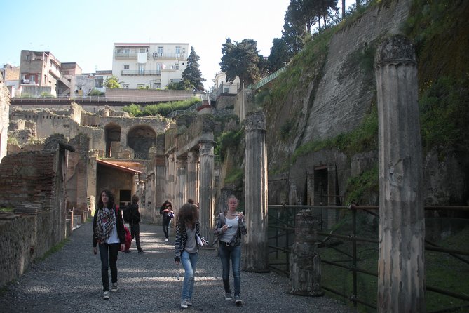 Tour in the ruins of Herculaneum with an archaeologist - Who This Tour Is For (and Who Might Prefer Something Else)