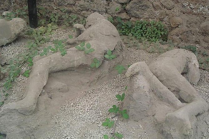 Tour of Mt. Vesuvius+Sorrento+Pompeii (Full Day) - Who this tour is best for