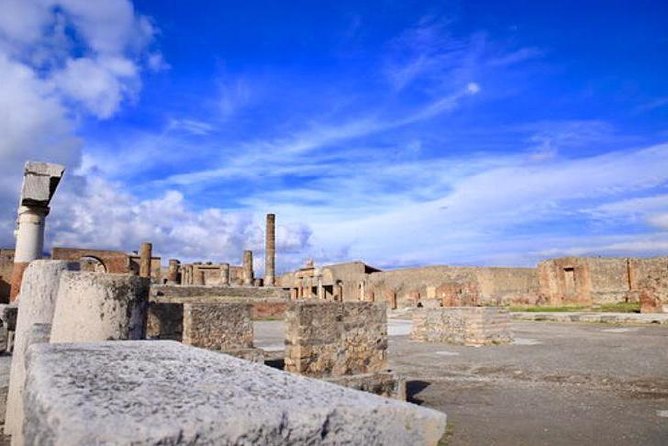 Tour of Pompeii for families with Transfer from Naples & Sorrento - Naples and Sorrento transfers: easy on the logistics